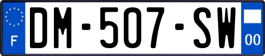 DM-507-SW