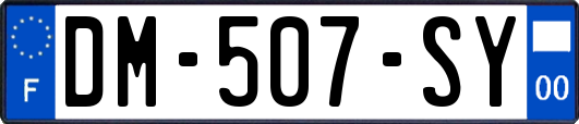 DM-507-SY