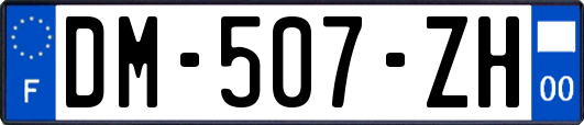 DM-507-ZH