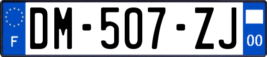 DM-507-ZJ