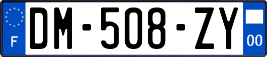 DM-508-ZY