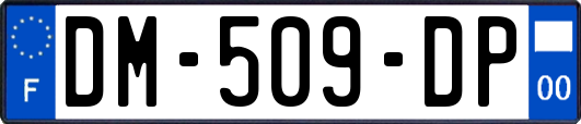 DM-509-DP