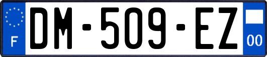 DM-509-EZ