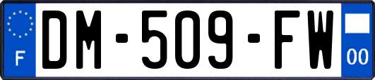 DM-509-FW