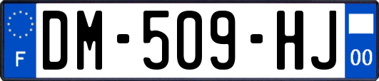 DM-509-HJ