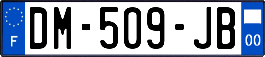 DM-509-JB