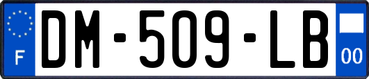DM-509-LB