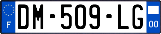 DM-509-LG