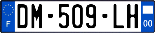 DM-509-LH