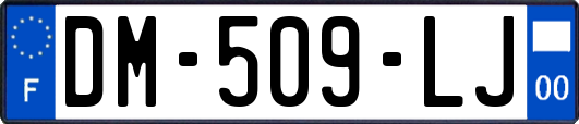 DM-509-LJ