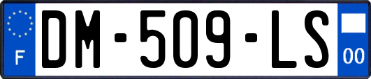 DM-509-LS