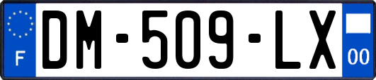 DM-509-LX