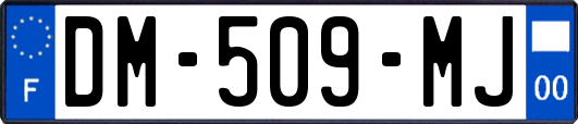 DM-509-MJ