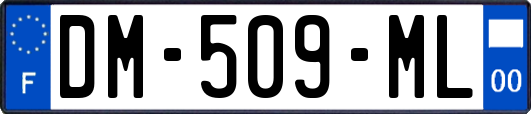 DM-509-ML