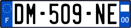 DM-509-NE
