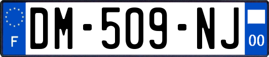 DM-509-NJ