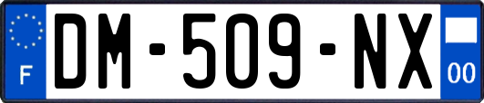 DM-509-NX