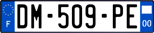 DM-509-PE