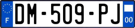 DM-509-PJ
