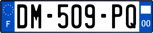 DM-509-PQ