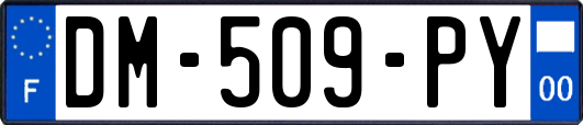 DM-509-PY