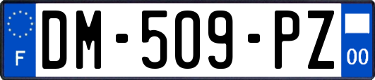 DM-509-PZ