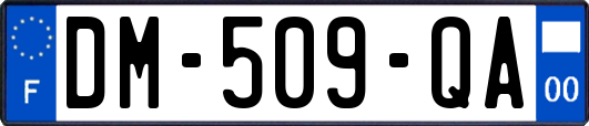 DM-509-QA