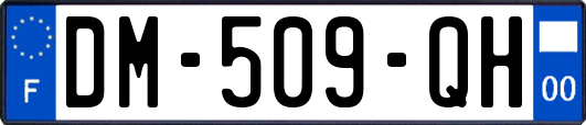 DM-509-QH