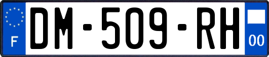 DM-509-RH