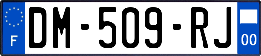 DM-509-RJ