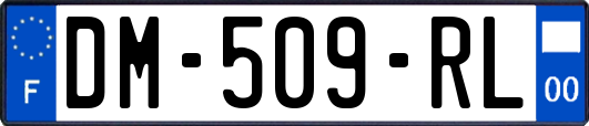 DM-509-RL