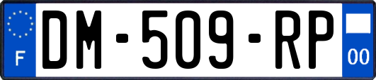 DM-509-RP