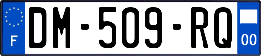 DM-509-RQ