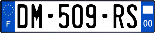 DM-509-RS