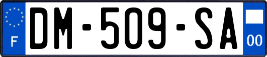 DM-509-SA