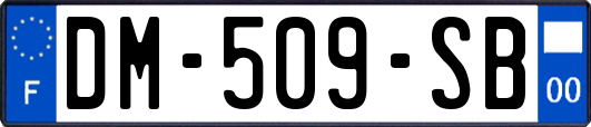 DM-509-SB
