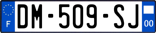 DM-509-SJ