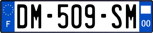 DM-509-SM
