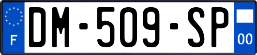 DM-509-SP