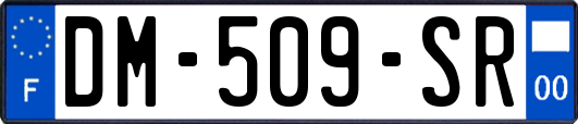DM-509-SR