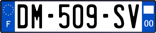 DM-509-SV
