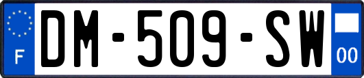 DM-509-SW