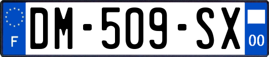 DM-509-SX