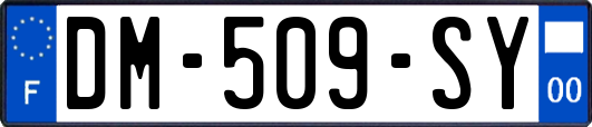 DM-509-SY