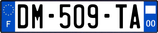 DM-509-TA