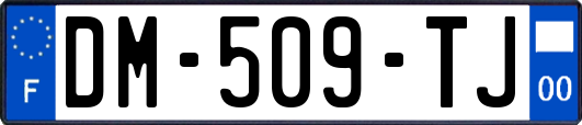DM-509-TJ