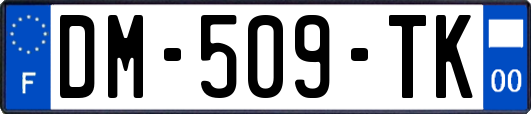 DM-509-TK