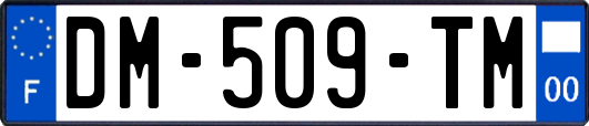 DM-509-TM