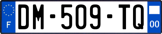 DM-509-TQ