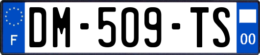 DM-509-TS